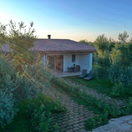 Bed and Breakfast I Secolari Sannicandro di Bari Exteriér fotografie