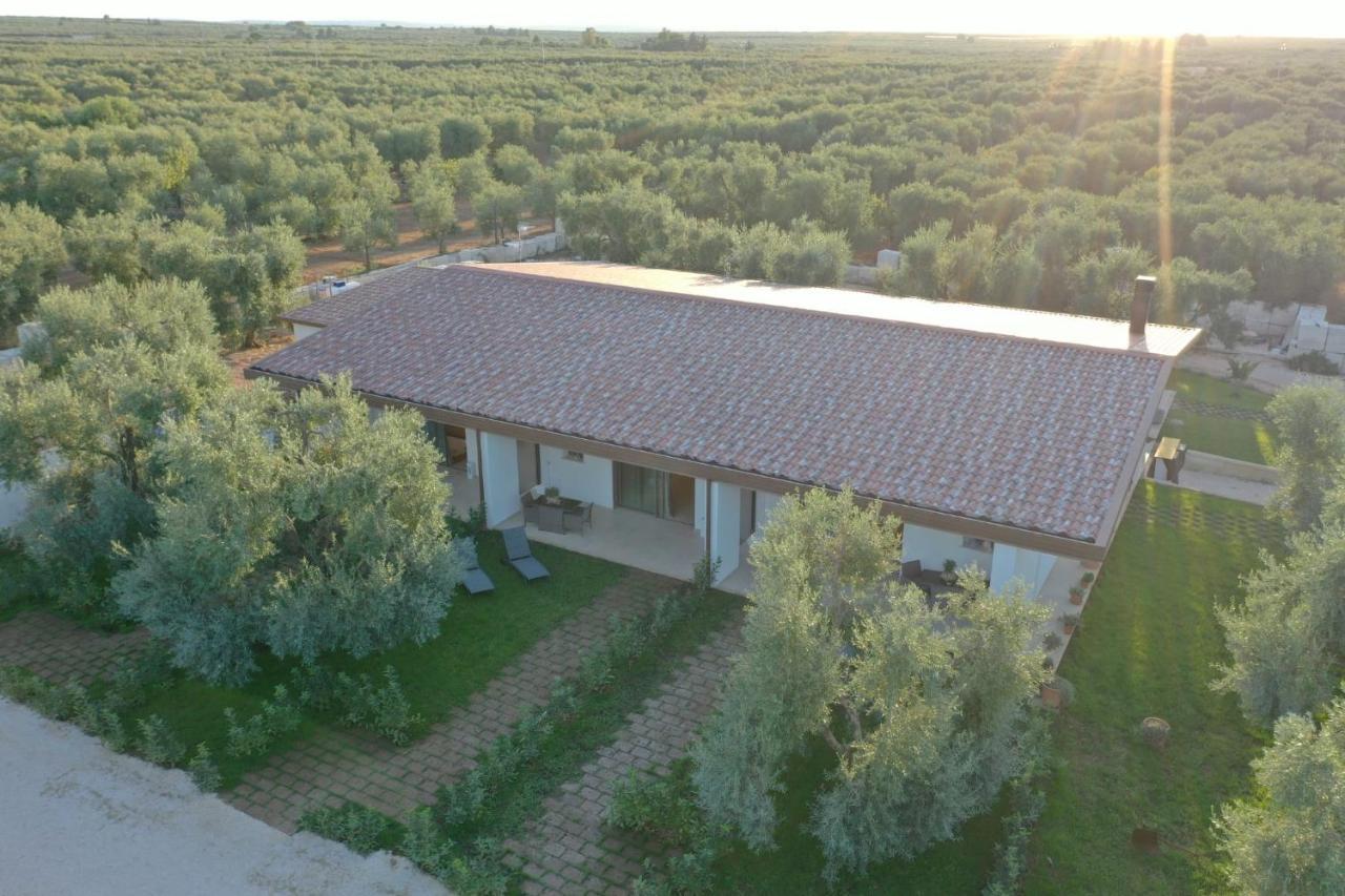 Bed and Breakfast I Secolari Sannicandro di Bari Exteriér fotografie