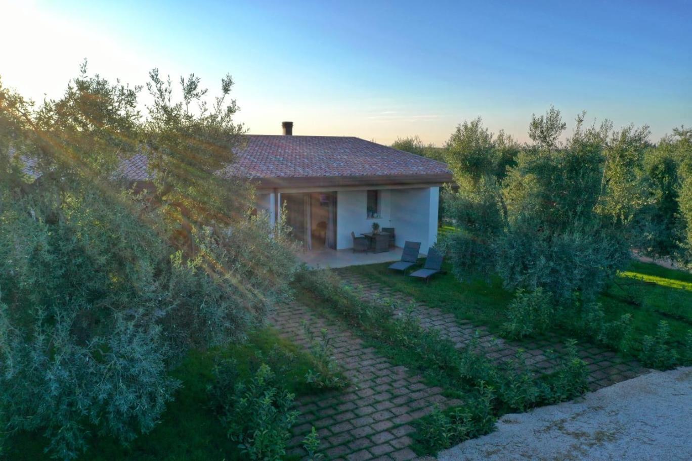 Bed and Breakfast I Secolari Sannicandro di Bari Exteriér fotografie